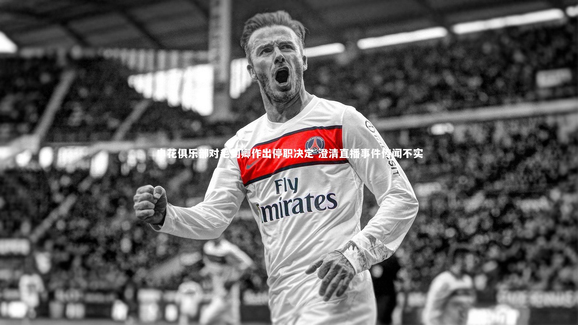 申花俱乐部对毛剑卿作出停职决定 澄清直播事件传闻不实